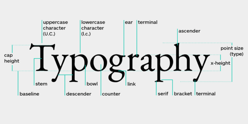 Typography la gi